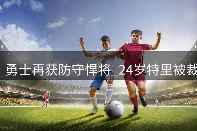 勇士再获防守悍将 24岁特里被裁后续签训练营合同