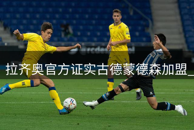 拉齐奥官方证实古德蒙德森加盟 1300万欧元买断条款曝光