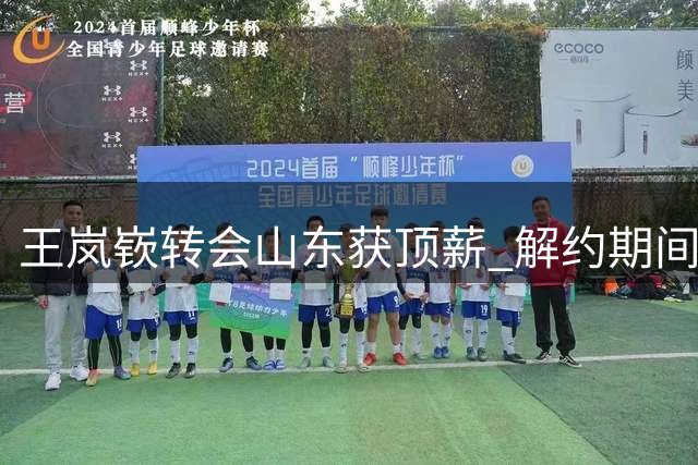 王岚嵚转会山东获顶薪 解约期间曾让步奖金